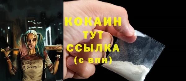 гидра Бронницы