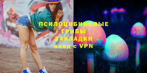 шишки Осинники