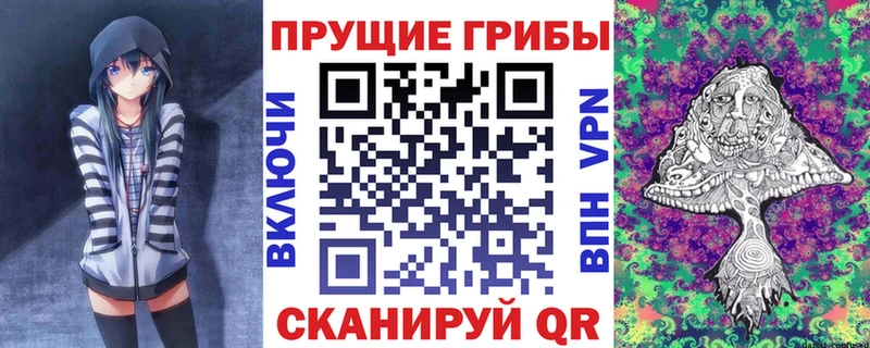 маркетплейс официальный сайт  Ершов  Галлюциногенные грибы Psilocybe 